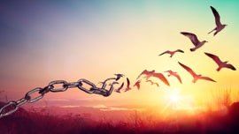 happygaytv: Floride : Lutte LGBTQI+ contre l'oppression, l'espoir persiste